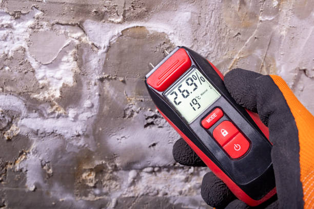 Best Residential Mold Remediation in Russell, GA