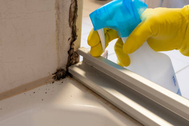 Best Post-Remediation Services in Russell, GA
