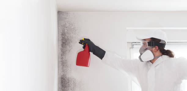 Best Bathroom Mold Remediation in Russell, GA