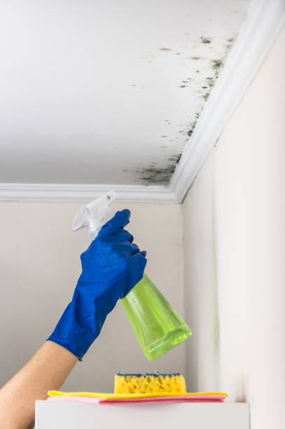Best Bathroom Mold Remediation in Russell, GA